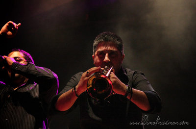 IMG_9008-copy.jpg