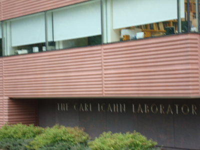 DSC03024.JPG
