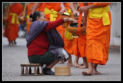 Giving alms to the monks, Luang Prabang, Laos