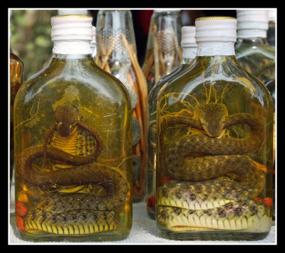 Snake Wine, Laos