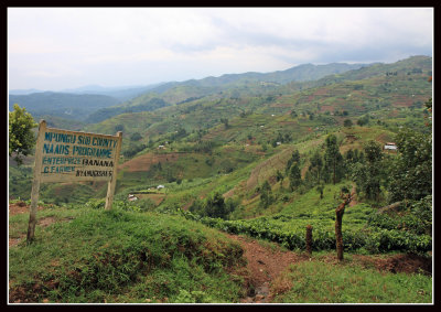 Bwindi, Uganda