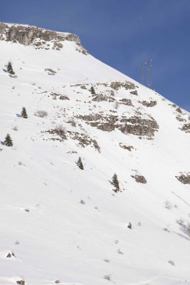 _MG_0377.jpg