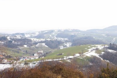 _MG_0462.jpg