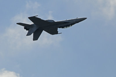 d3c036_0431.jpg