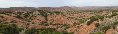 The Amarillo Area Canyon State Parks