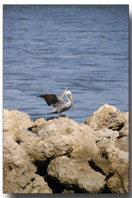 fla2007_0023.jpg