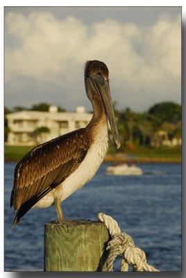 fla2007_0090.jpg