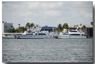 fla2007_0114.jpg
