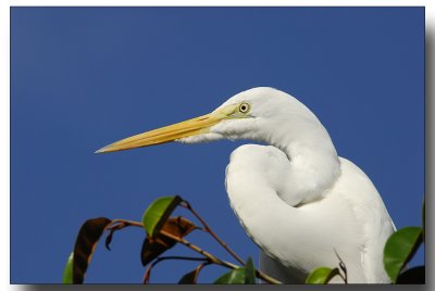 fla2007_0138.jpg