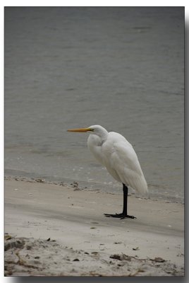 fla2007_0170.jpg