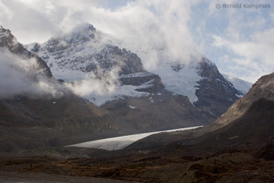 Columbia Icefield