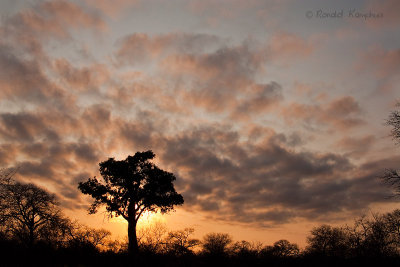 Sunset Kruger NP