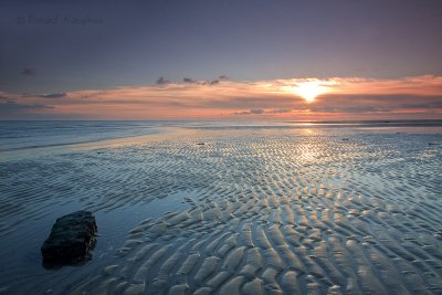 Texel