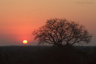 Sunset Kruger NP