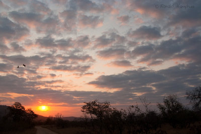 Sunrise Kruger NP