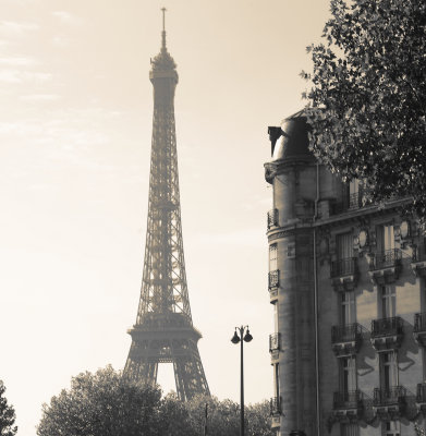 paris pair