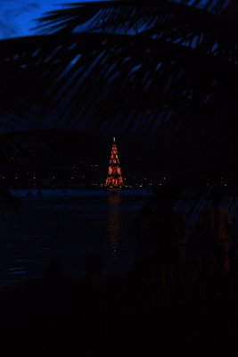 Christmas Tree - Lagoon Rio