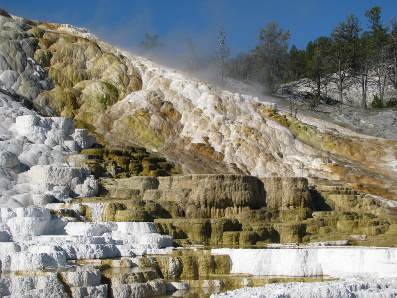 Mammoth Hot Springs, Wyoming