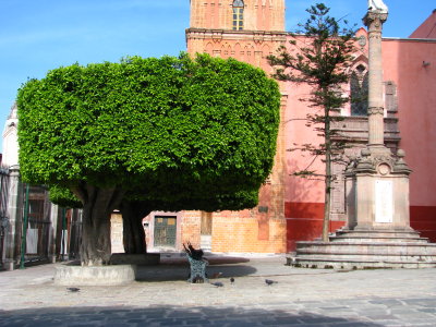 Courtyard, San Miguel de Allende