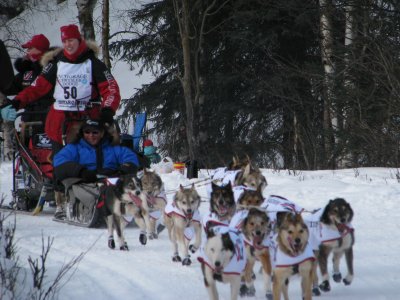 g1/11/653611/3/125913540.kvNOtg2r.jpg