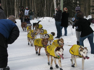 g1/11/653611/3/125913561.tykijepI.jpg