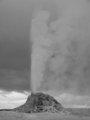White Dome Geyser, Yellowstone