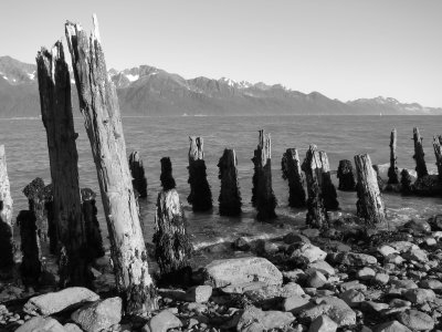 Abandoned Pier, Seward, Alaska