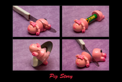 PigStory.jpg