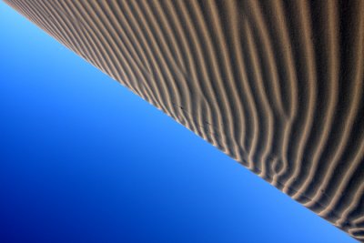 Dune1.jpg