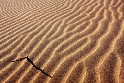 Dune3.jpg