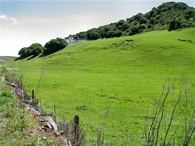 Winery-Rural Pismo.jpg