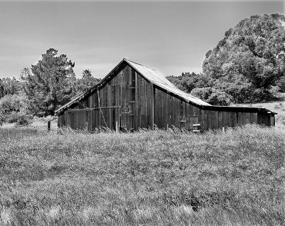 Old Barn Near Pismo.jpg