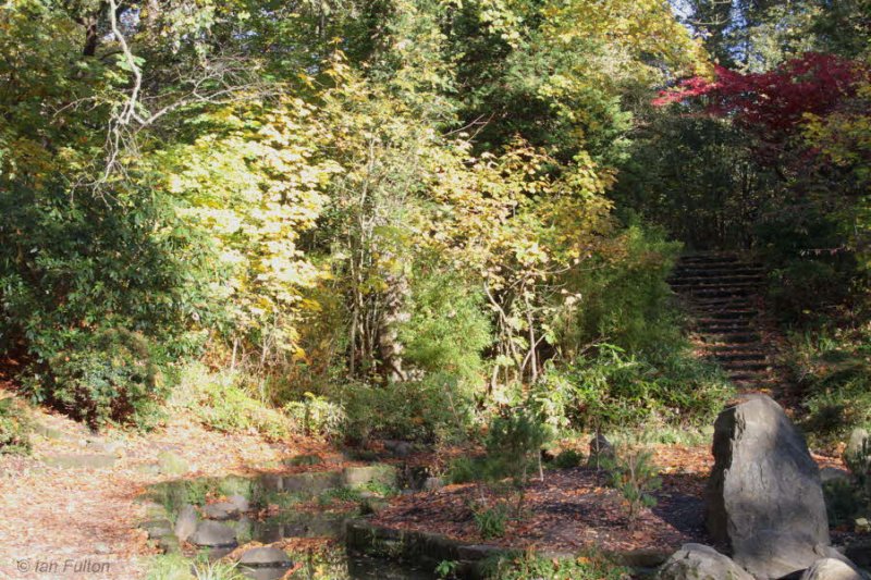 Japanese Garden, Dalzell Woods, Motherwell