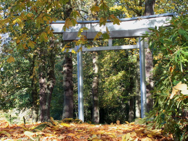 Japanese Garden, Dalzell Woods, Motherwell