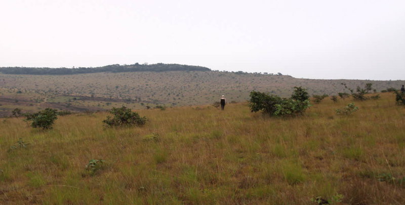 Birding the wide open spaces of the grassland hills, Leconi, Gabon