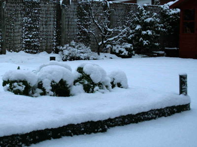 Garden transformed by snowfall, Glasgow