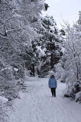 Rothiemurchus forest path