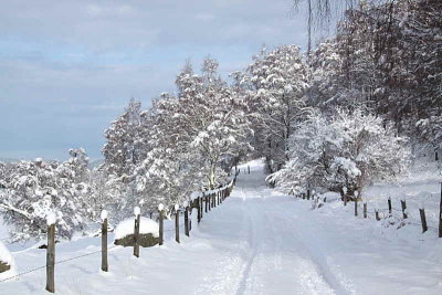 Coylumbridge to Blackpark minor road