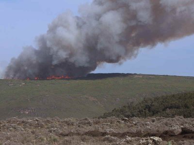 A wild fire on the lower slopes of the Bale Mountains