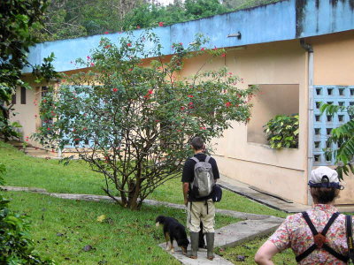 HQ buildings at Bobiri Reserve, Ghana