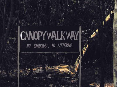 Approaching the Canopy Walkway, Kakum NP, Ghana