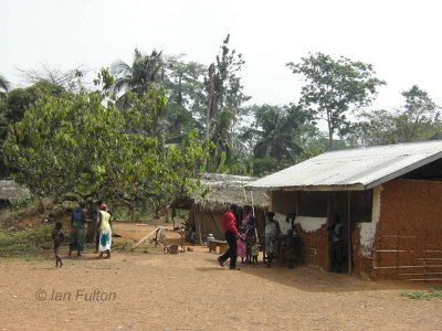 Village near the Picathartes site, Ghana