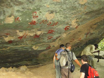 The Picathartes cave site, Ghana