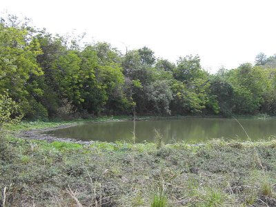 Pond at Shai Hills Reserve, Ghana