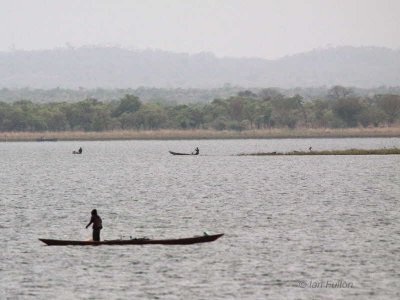 Tono Dam, Ghana