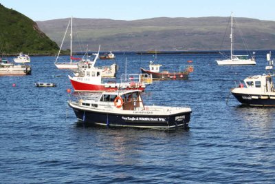 Portree harbour, Skye