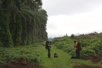 Walking in to the camp, Cao Grande, São Tomé