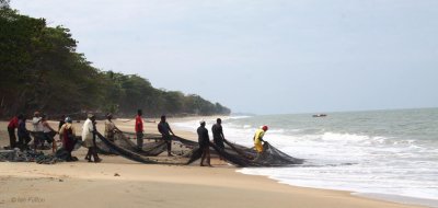Shore net fishing, near Libreville, Gabon