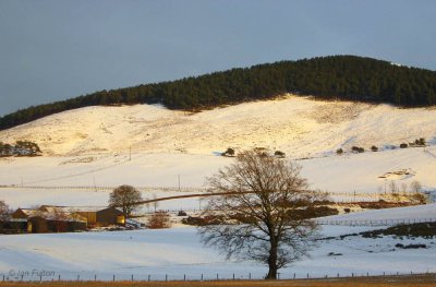 Borland farm, South Medwin Valley, South Lanarkshire