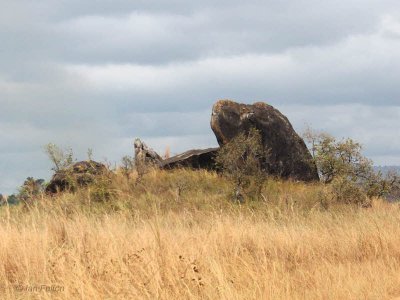 Curious rock shape, Lope NP, Gabon
